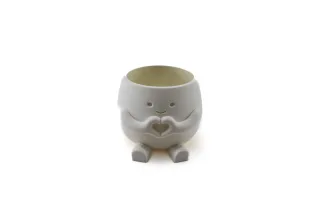 Plantenbakje met Gezicht – Schattig & Decoratief